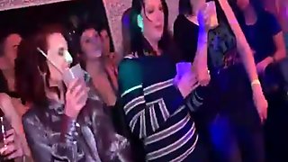 Hot busty sluts dances at party