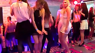 Hot kittens get absolutely silly and stripped at hardcore party